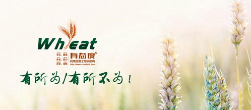 杭州平面設計培訓課程 同構在圖形設計創意中的應用